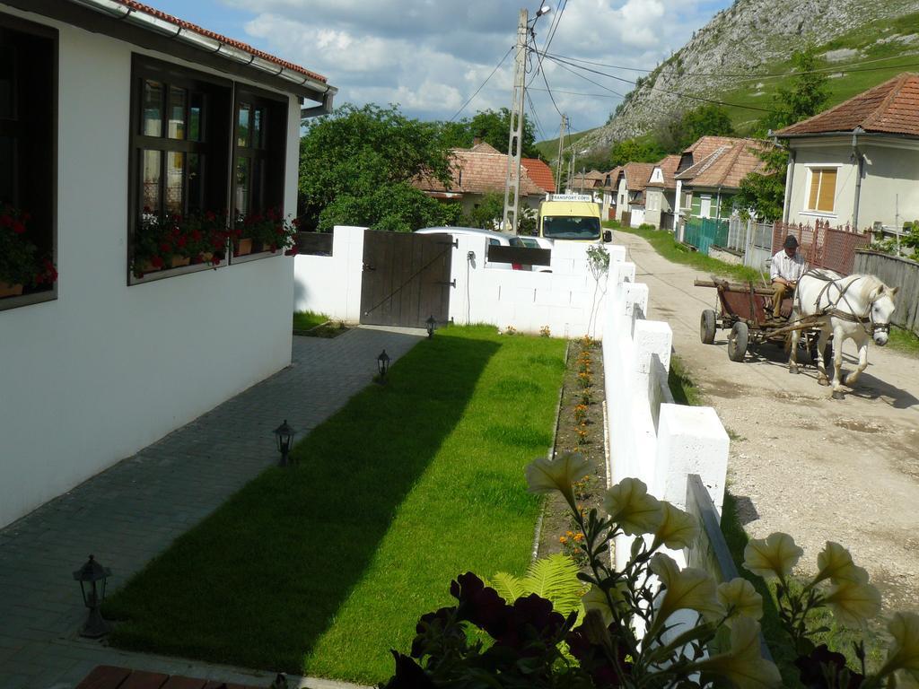 Casa Demeter Hotel Rimetea Exterior foto